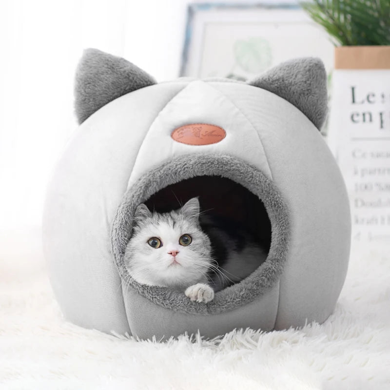 House Tent