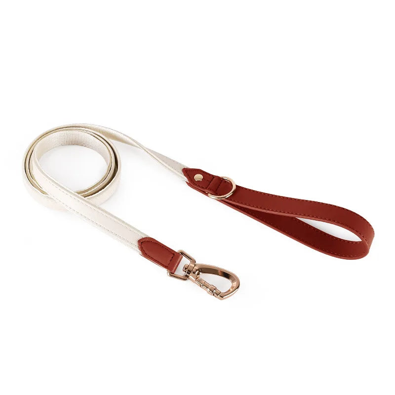 Leather Harness with Collar & Leash