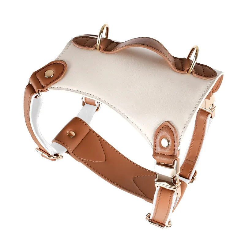 Leather Harness with Collar & Leash