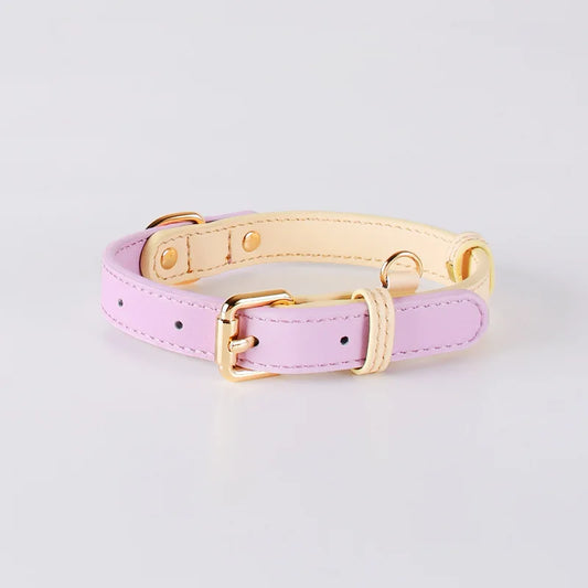 The ''Beverly'' Collar