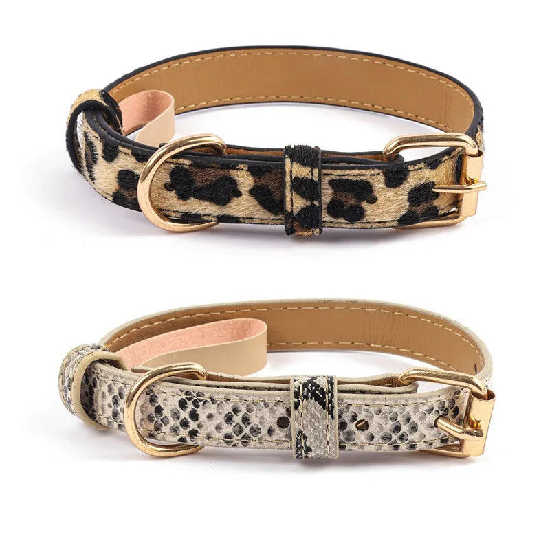 The Safari Collection