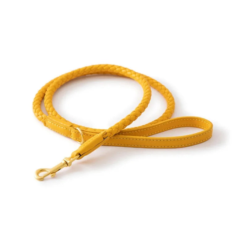 ''La Tresse'' Collar & Leash