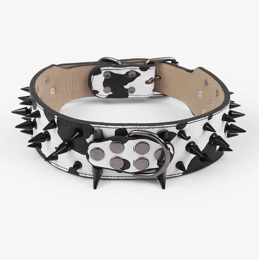 Punk Edge Collar