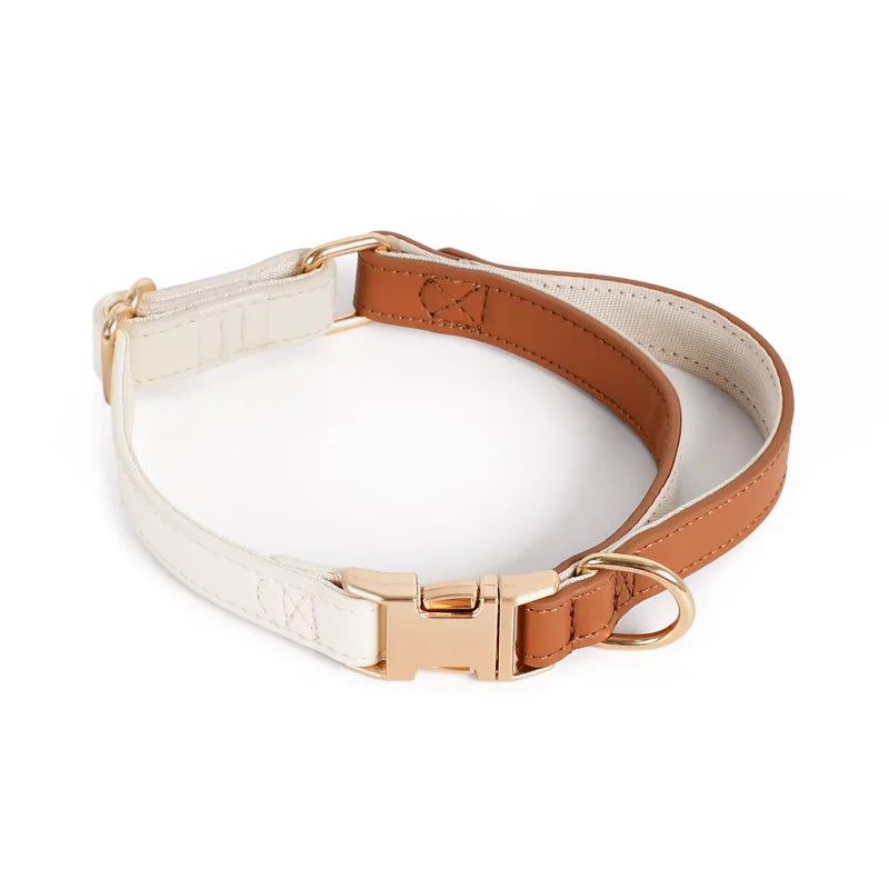 Leather Harness with Collar & Leash