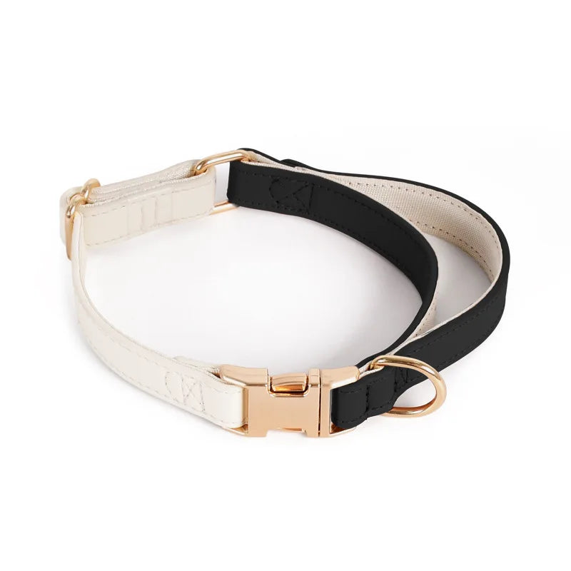 Leather Harness with Collar & Leash