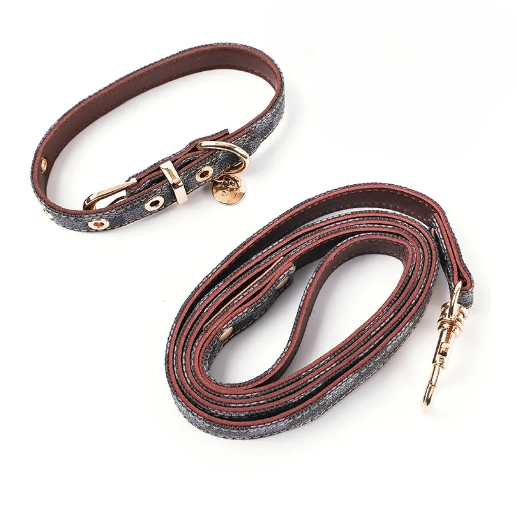 Roma Collar & Leash