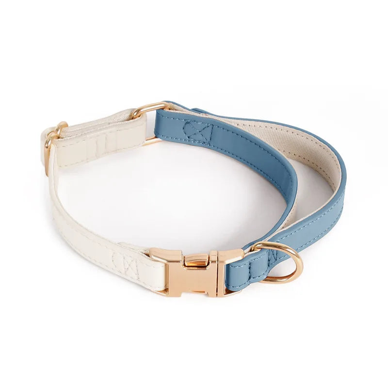 Leather Harness with Collar & Leash