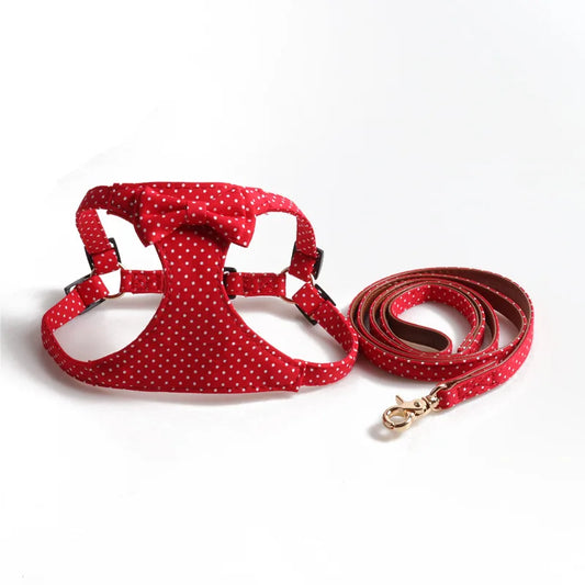 ''Paris'' Harness & Leash