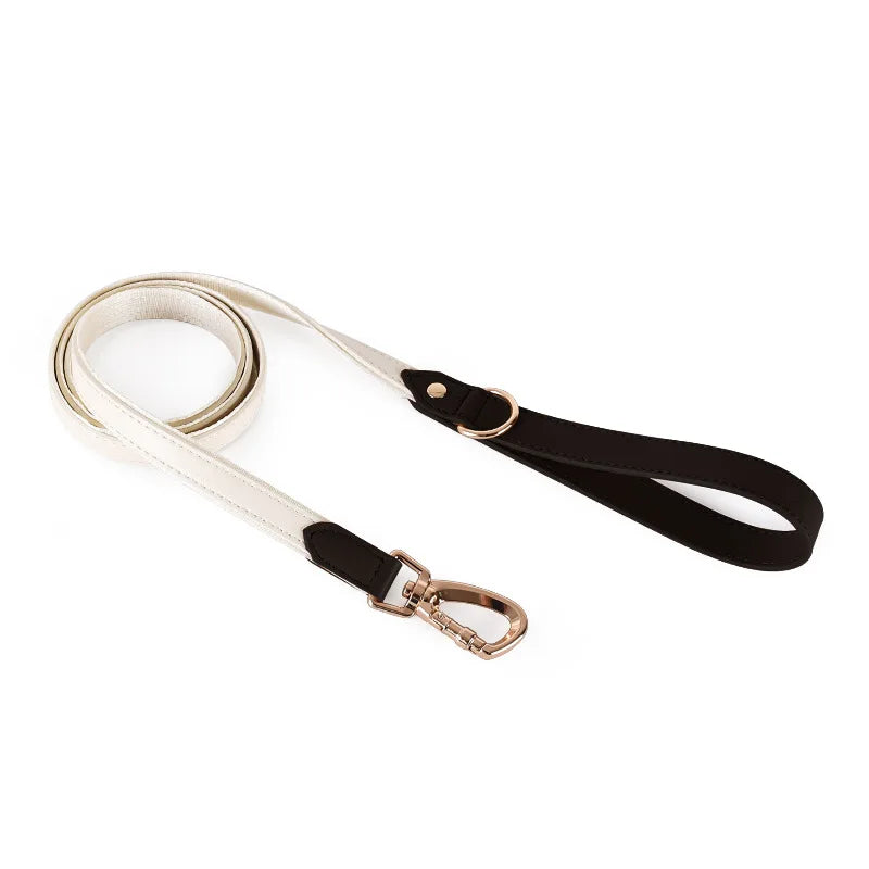 Leather Harness with Collar & Leash