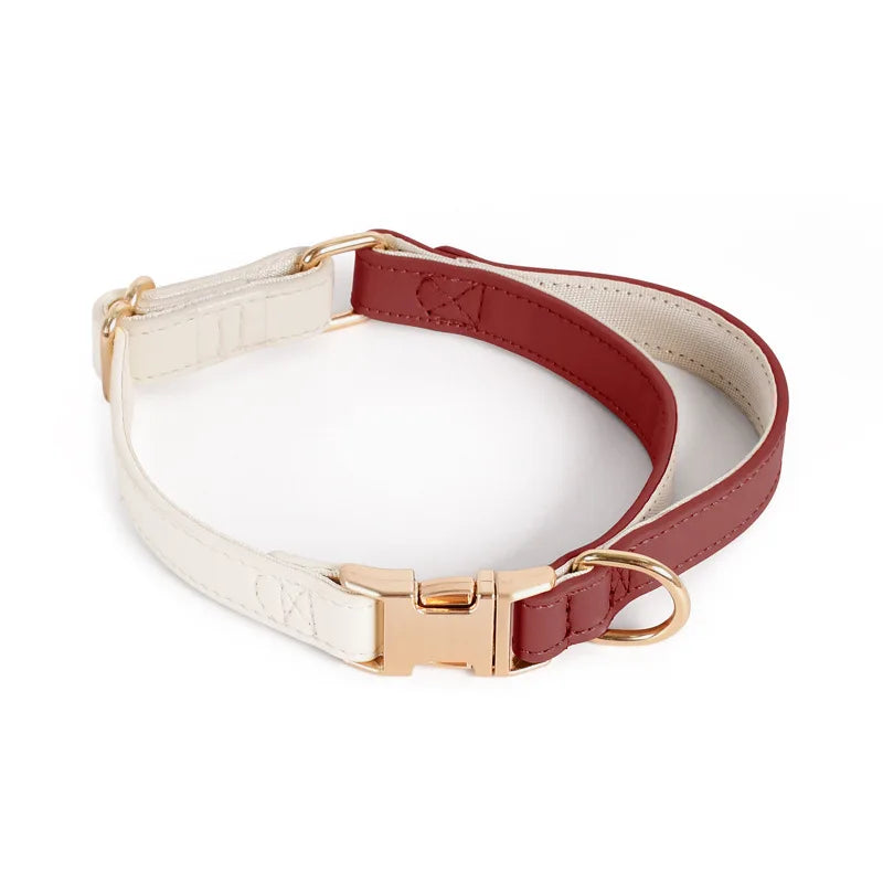 Leather Harness with Collar & Leash