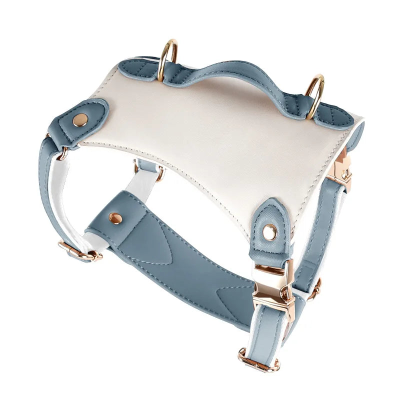 Leather Harness with Collar & Leash