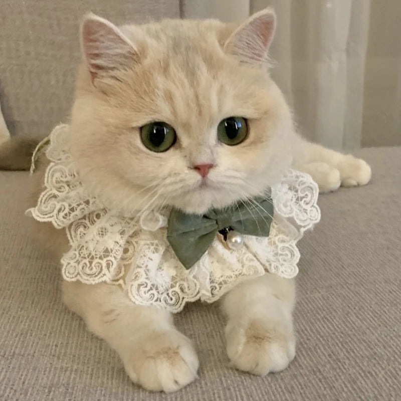 The Silk Ribbon Collar