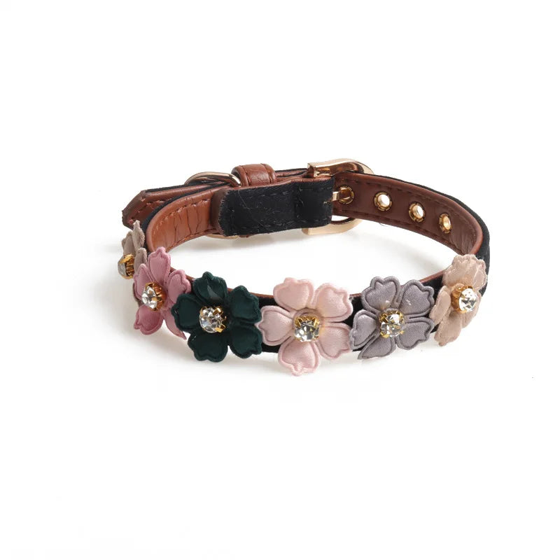 ''Alice'' Collar