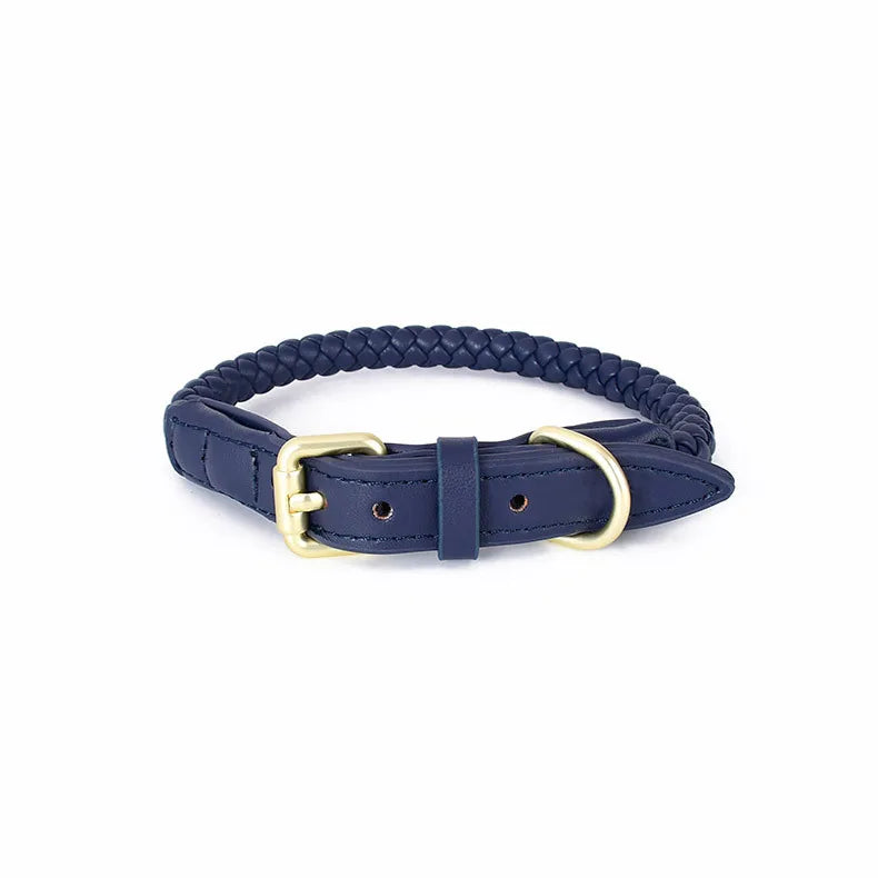 ''La Tresse'' Collar & Leash