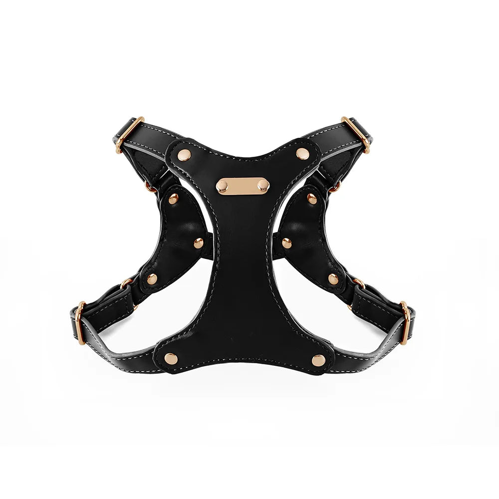 Soft Leather Chest Strap