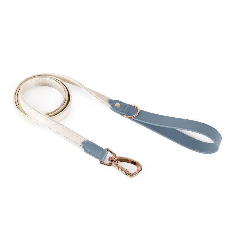 Leather Harness with Collar & Leash