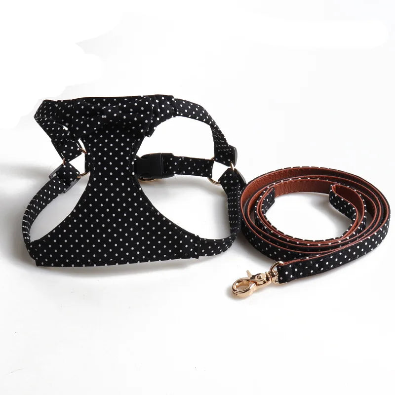 ''Paris'' Collection Harness
