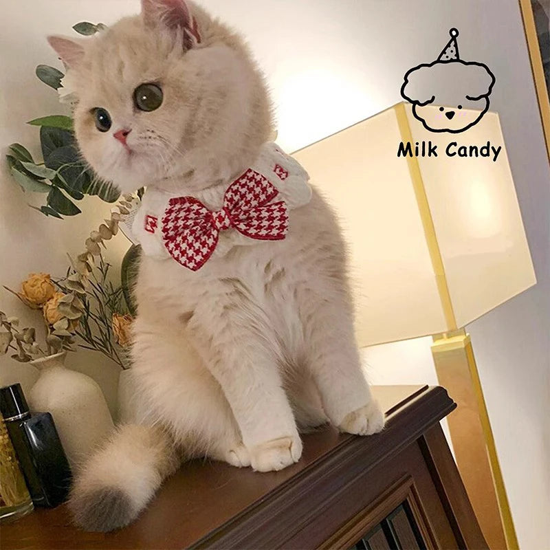 The Silk Ribbon Collar