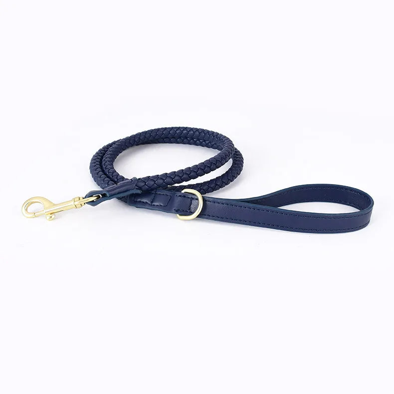 ''La Tresse'' Collar & Leash