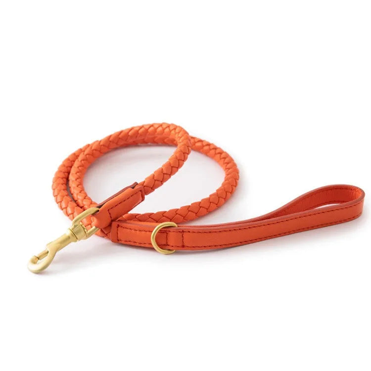 ''La Tresse'' Collar & Leash