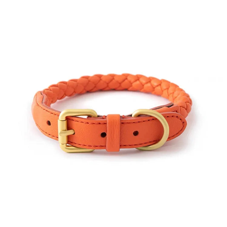 ''La Tresse'' Collar & Leash
