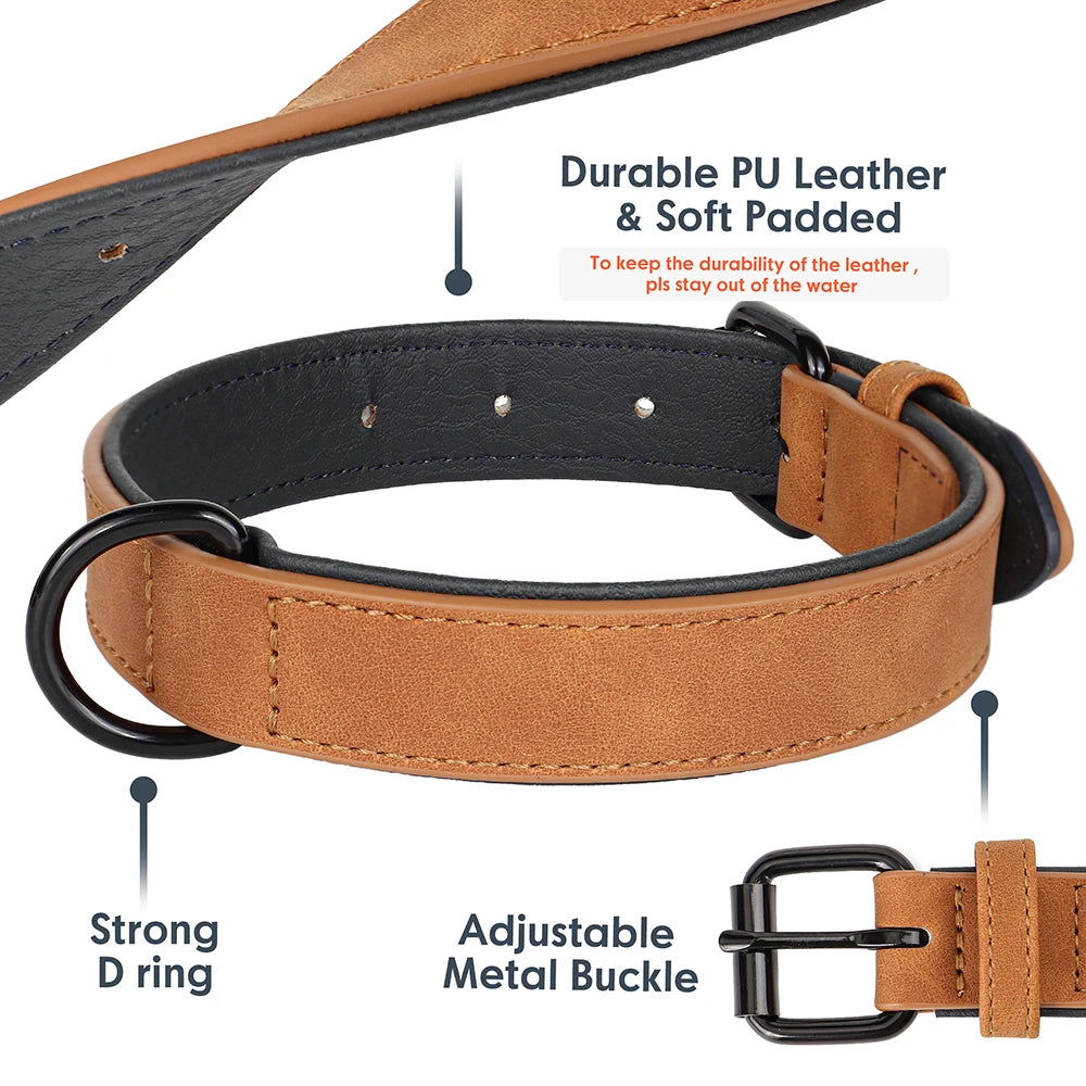 Two-Toned Padded Collar