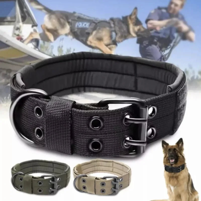 Collier tactique pour chien