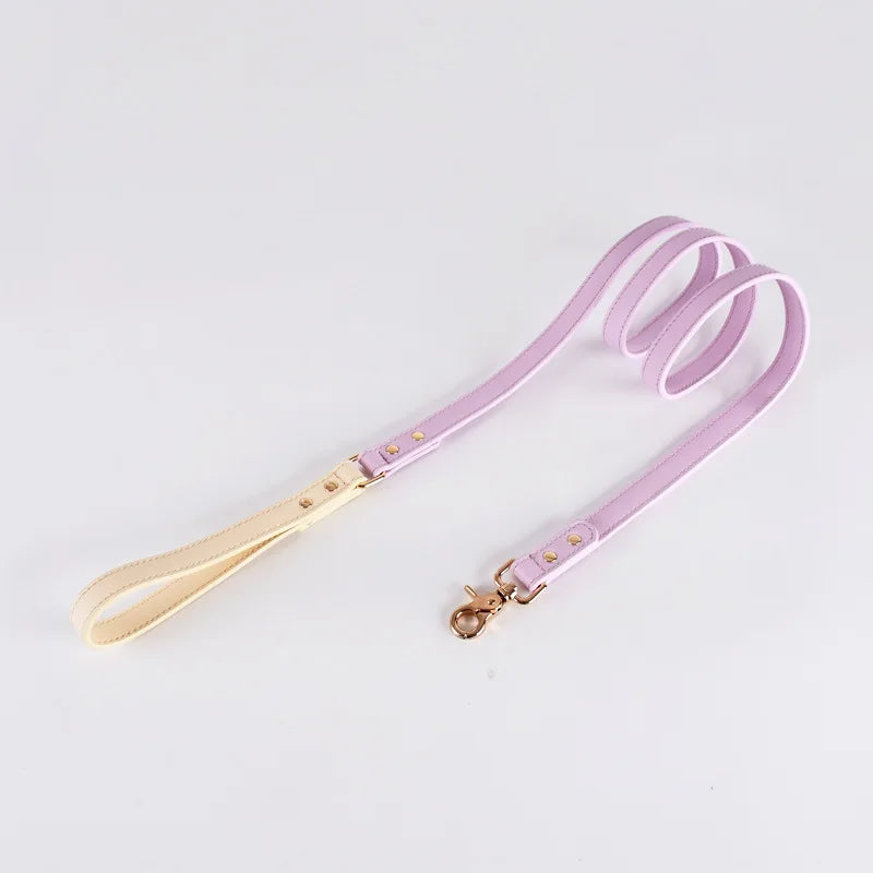 The ''Beverly'' Collar