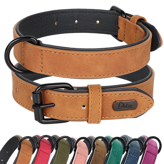 Two-Toned Padded Collar