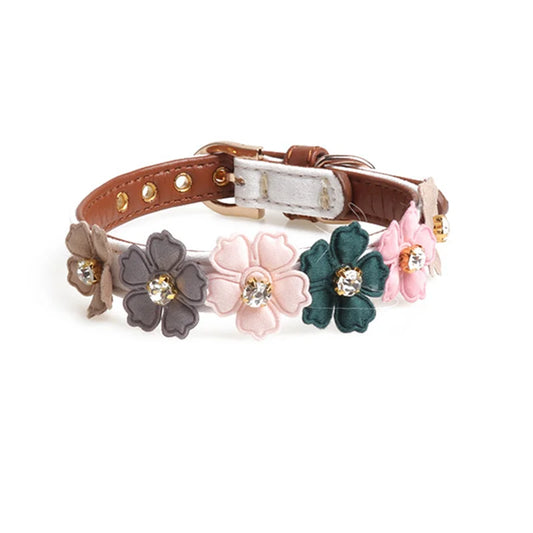 ''Alice'' Collar