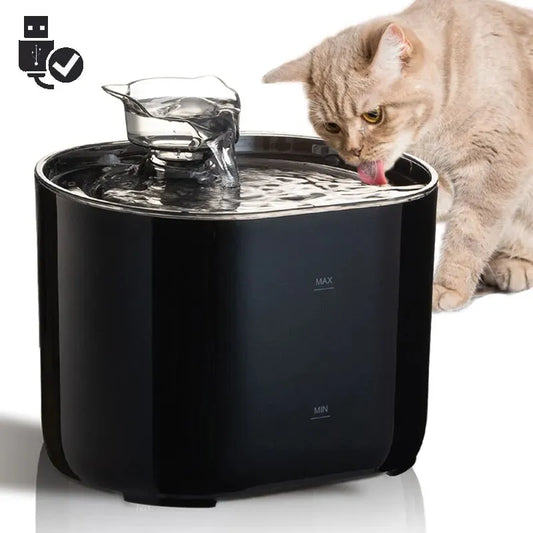 Water Drinking Fountain