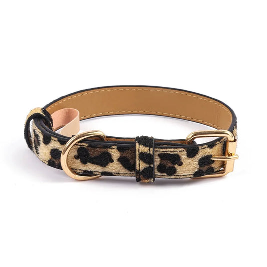 The Safari Collection