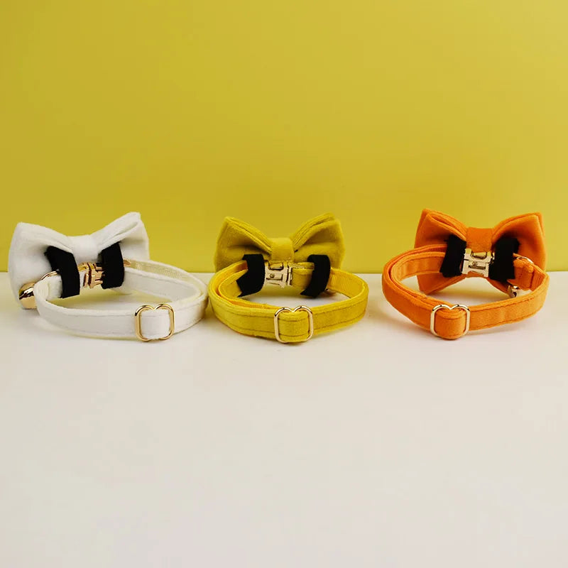 Fluwelen kattenhalsband: zomercollectie