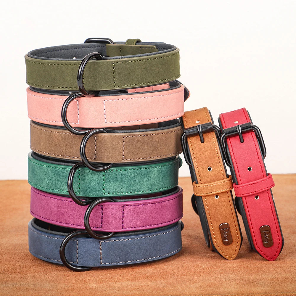 Two-Toned Padded Collar