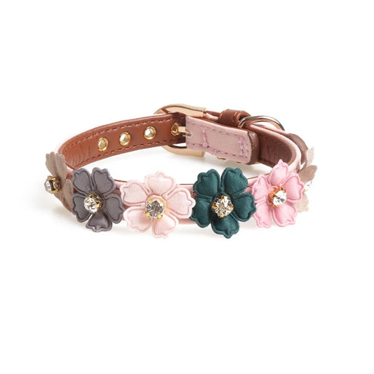 ''Alice'' Collar