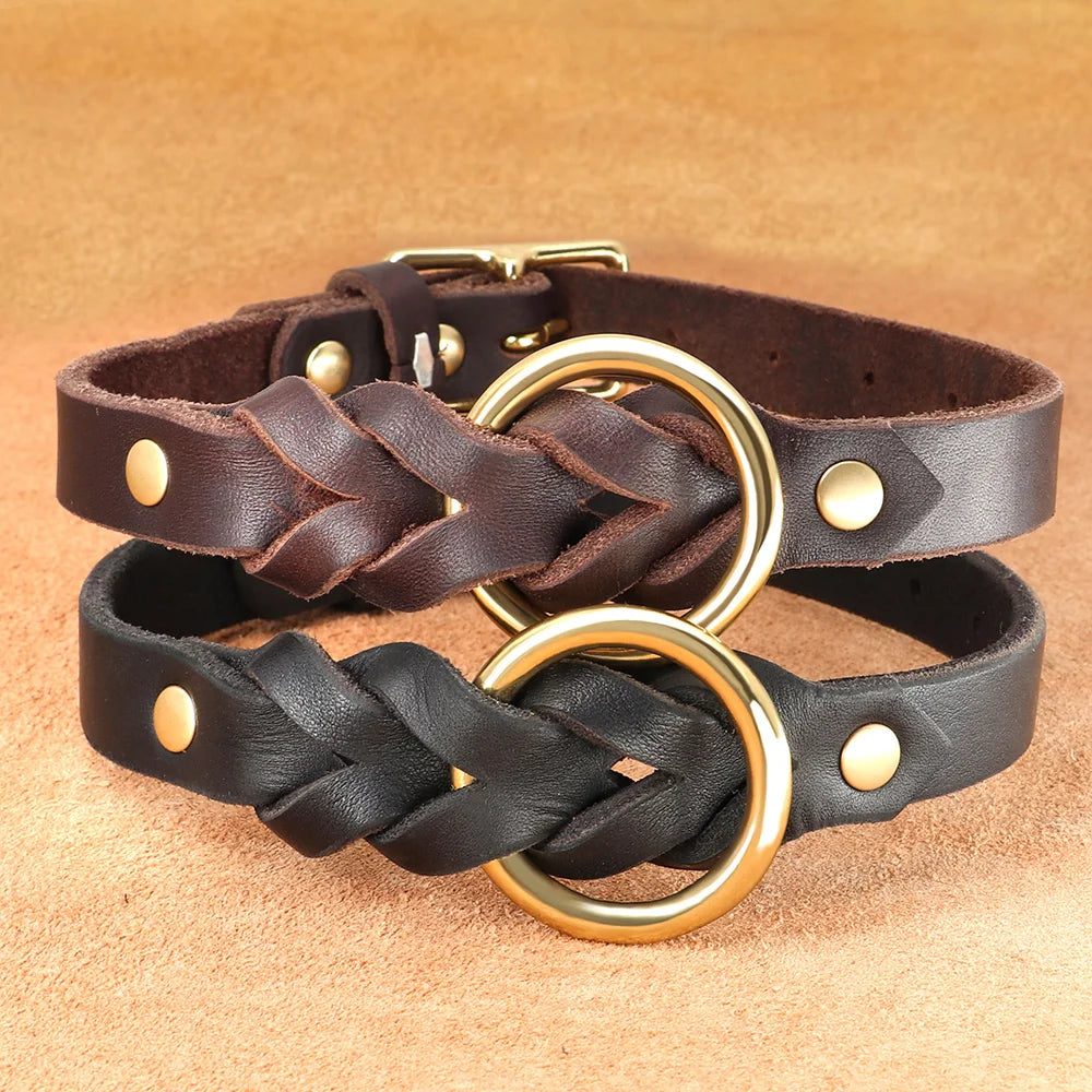 Braided Leather Leash and Collar