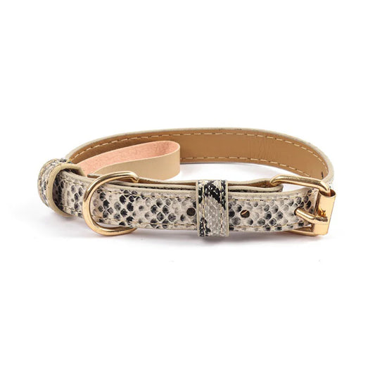The Safari Collection