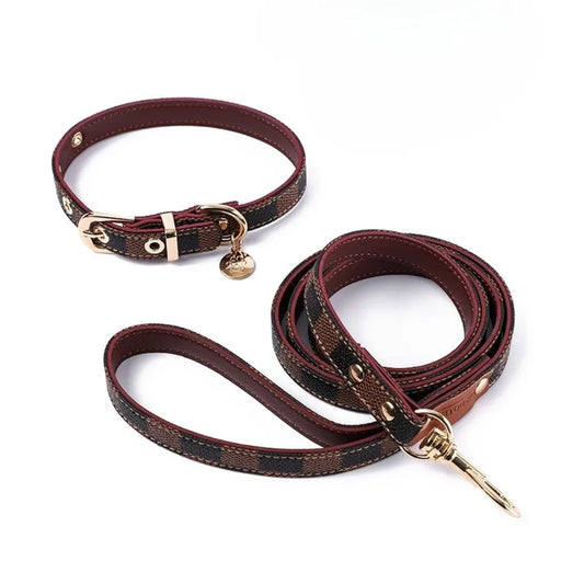 Roma Collar & Leash