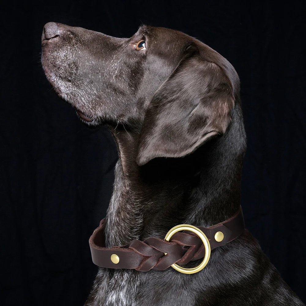 Braided Leather Leash and Collar