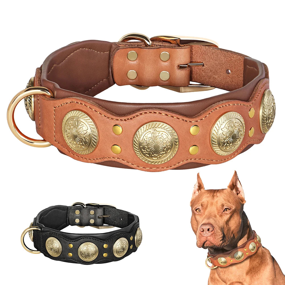 Western Leather Collar