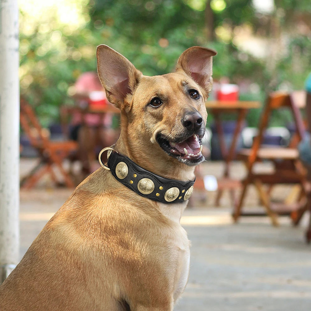 Western Leather Collar