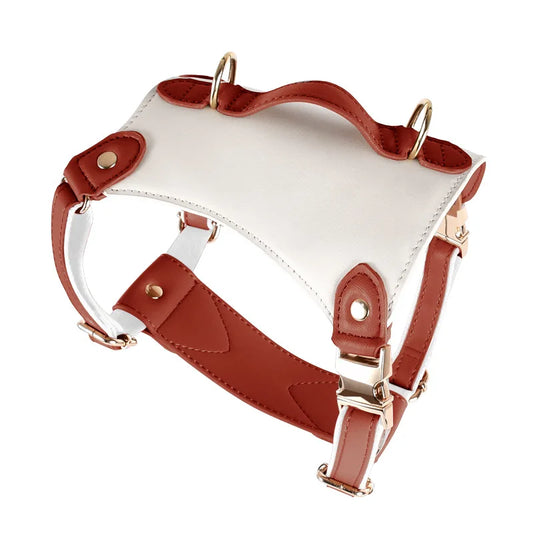 Leather Harness with Collar & Leash