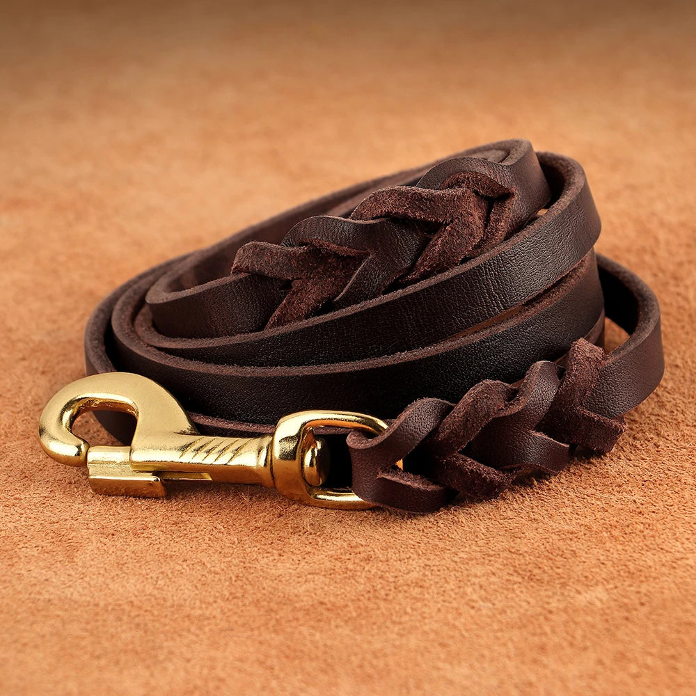 Braided Leather Leash and Collar