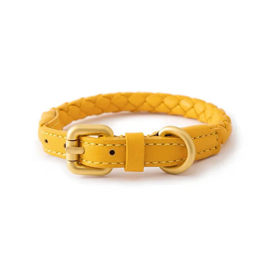 ''La Tresse'' Collar & Leash