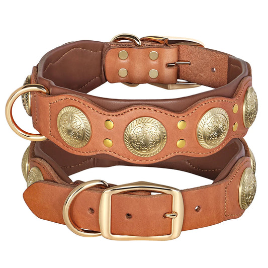 Western Leather Collar