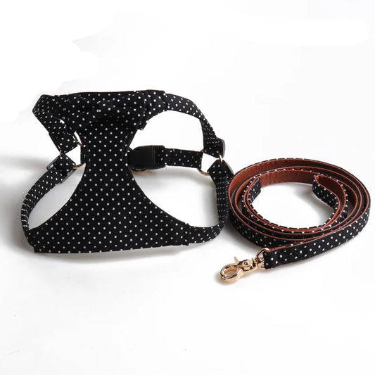 ''Paris'' Collection Harness