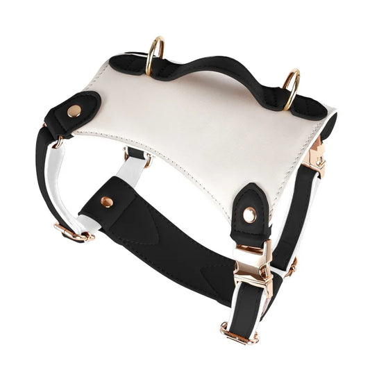 Leather Harness with Collar & Leash