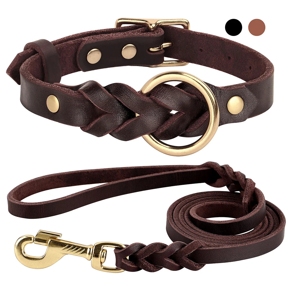 Braided Leather Leash and Collar