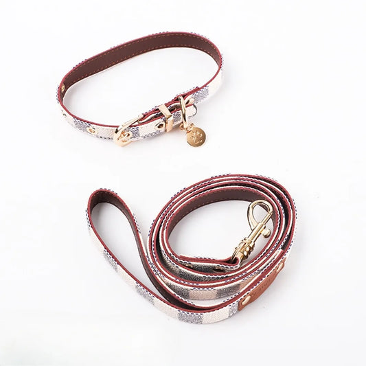 Roma Collar & Leash