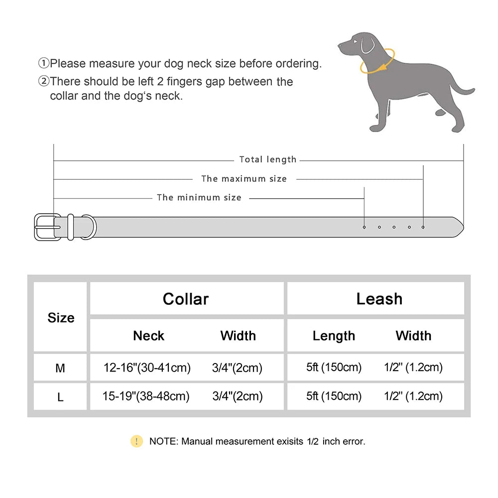 Braided Leather Leash and Collar